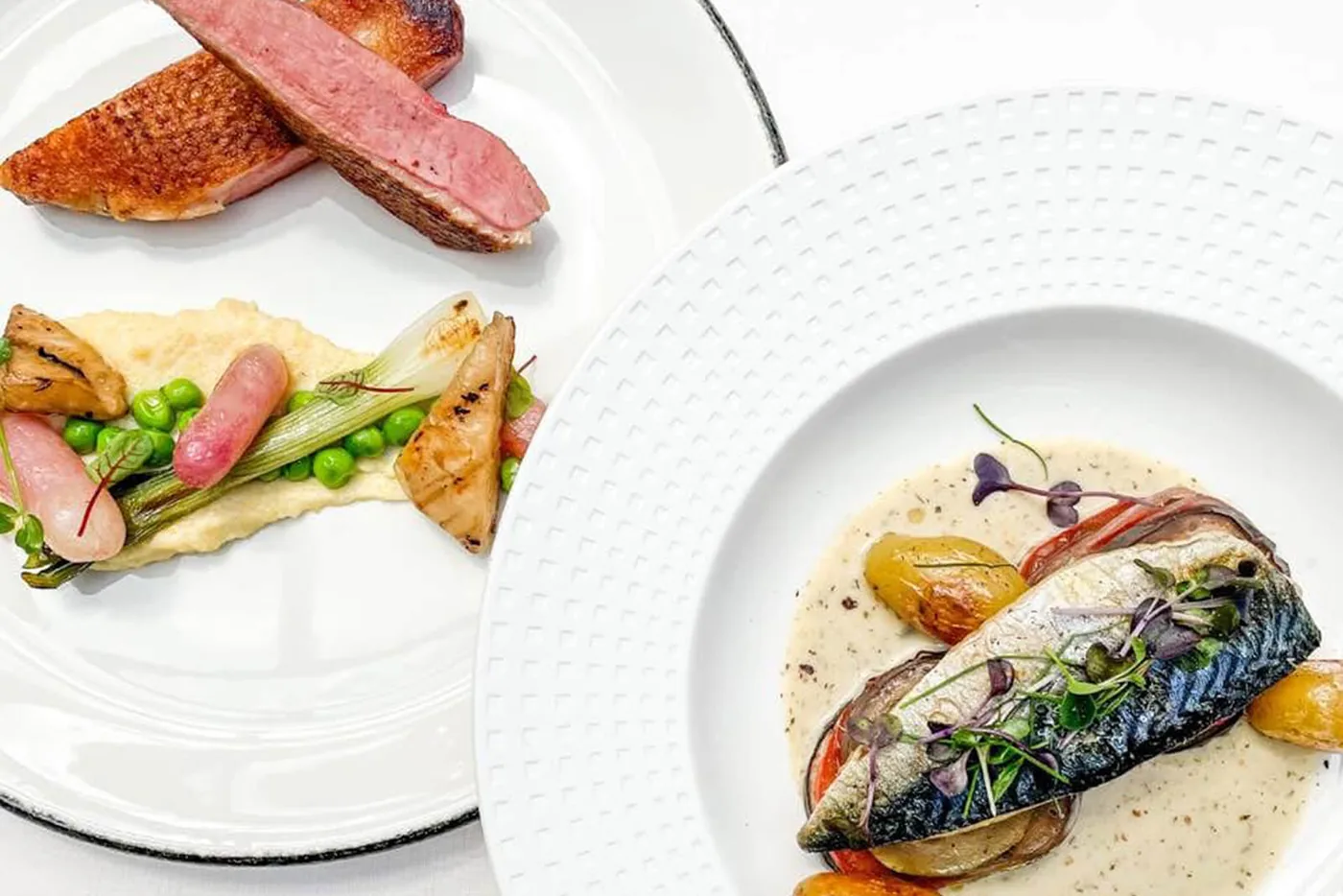 Deux assiettes dressées, canard et poisson